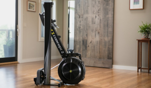Гребной тренажер Concept 2 RowErg Standart (ex модель D)