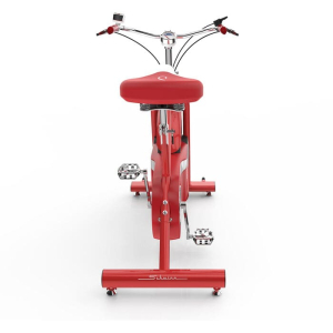 Велотренажер Schwinn Classic Cruiser